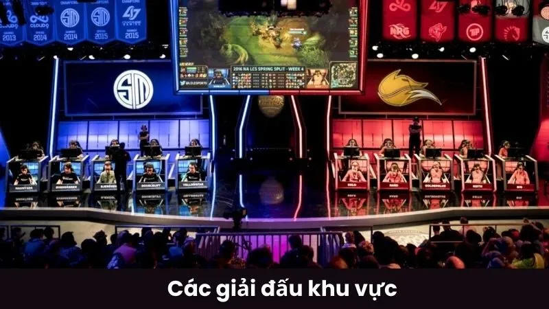 Các giải đấu khu vực